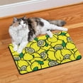 thumbnail image 2 of Dog Food Mat with Bright Floral Lemon Pattern, Waterproof Absorbent Pet Feeding Mat, Non-Slip, Quick Dry, Easy Clean Mat for Kitchen and Bathroom, 2 of 7