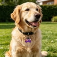 thumbnail image 1 of Placas de identificación personalizadas para mascotas: placas de identificación silenciosas de silicona ligera con grabado permanente para collar., 1 of 6