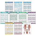thumbnail image 1 of Set de pósteres Palace Learning Exercise Workout, paquete de 10, 1 of 7