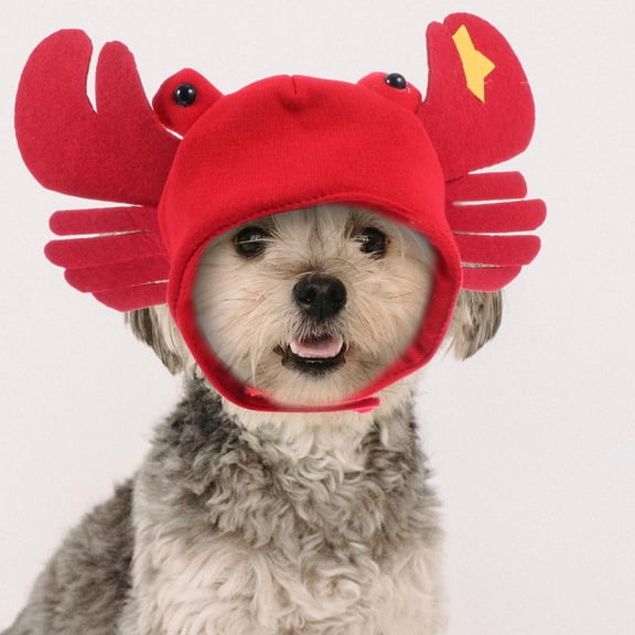 Pretyzoom 1Pc Red Plush Crab Style Pet Headwear Warm Hat for Dog Cat Photo Props