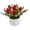 Red, variant on Artificial Tulips Potted Plant Red Plastic Miniature Bonsai For Indoor Desktop Decor 1 Count