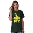 thumbnail image 3 of Wyoming Western Rodeo Rider WY Men's Graphic T Shirt Tees Brisco Brands 2X, 3 of 6