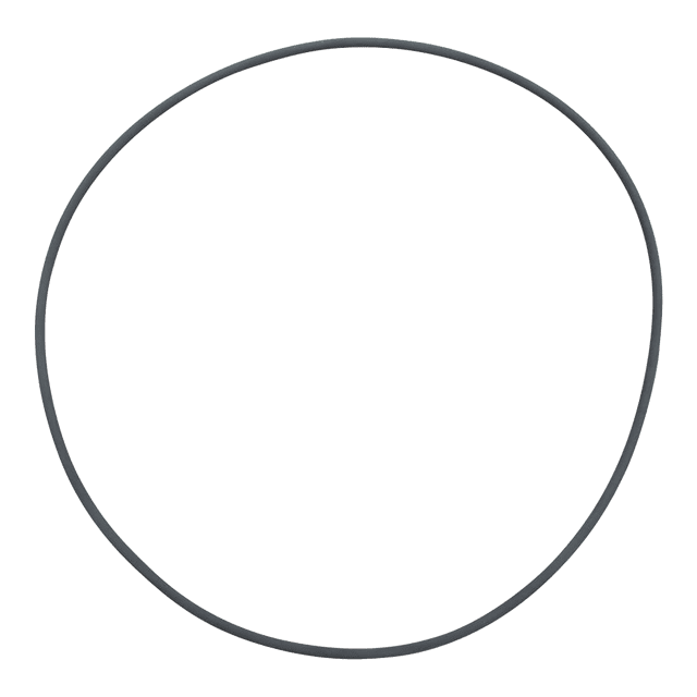 Repuesto Empaque Diseño Circular Motor Fluval Fx5/Fx6 Hagen HAGEN HA20210