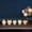 B, variant on 2026 New Chiikawa Car Ornament Cute Auto Dashboard Decoration Lovely Creative Interior Decor for Vehicle Styling Car Accessorie