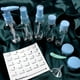 thumbnail image 2 of 9-Piece Travel Bottle Set: Perfect for Personal & Business Travel, Includes Bonus Cosmetic Name Label Stickers!, 2 of 4