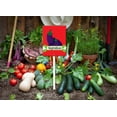 thumbnail image 5 of Eveokoki Farming Vegetable Garden Sign Eggplant Sign with Stake 8x12inch Aluminum Outdoor Decoration Sign Rustproof Sturdy Aluminum Sign for Outdoor Use Easy Install Set of 1, 5 of 6
