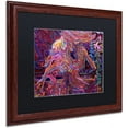 thumbnail image 2 of Trademark Fine Art "Night Flight 1" Canvas Art by Josh Byer, Black Matte, Wood Frame, 2 of 4