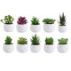 thumbnail image 5 of Planta suculenta artificial en maceta, cactus pequeños de imitación, decoración para interiores y exteriores, U7G6, 5 of 6