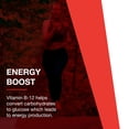 thumbnail image 3 of Protocol for Life Balance Liquid B-12 5,000 mcg - 4 fl oz (118 mL), 3 of 8