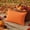 🌻 Orange_Base#102, variant on Outdoor Pillow Covers 12x20 Farmhouse Pillow Covers Fall Orange Plaid Stripes for Couch Sofa Living Room