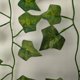 thumbnail image 3 of 12 hojas de hiedra falsas de 6,5 pies, guirnaldas artificiales, plantas colgantes verdes, vid para decoración de pared del dormitorio, decoración de boda, fiesta, habitación, cosas estéticas, 3 of 5