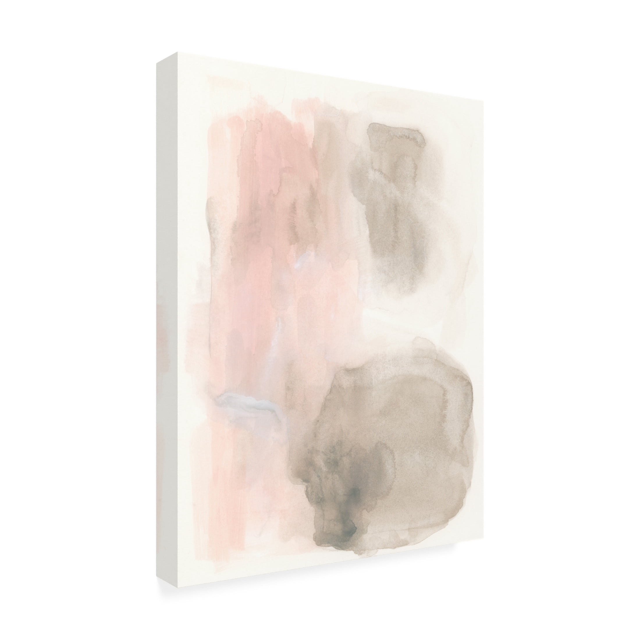 Trademark Fine Art June Erica Vess  Rose Stalagmite II Canvas Wall Art