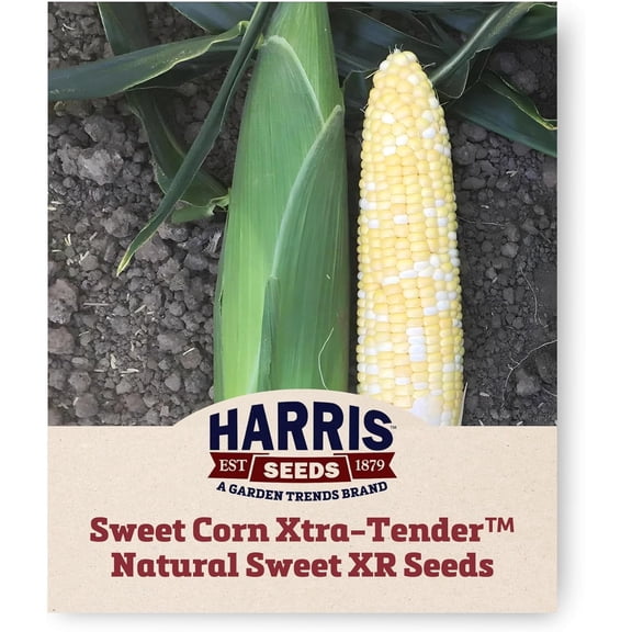 Harris Seeds Xtra-Tender Natural Sweet XR F1 Organic Sweet Corn, Supersweet Mid-Season Variety, 50 Count
