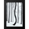 thumbnail image 2 of Pavlasek, Tom 13x18 Black Modern Framed Museum Art Print Titled - Dancing Tree, 2 of 5