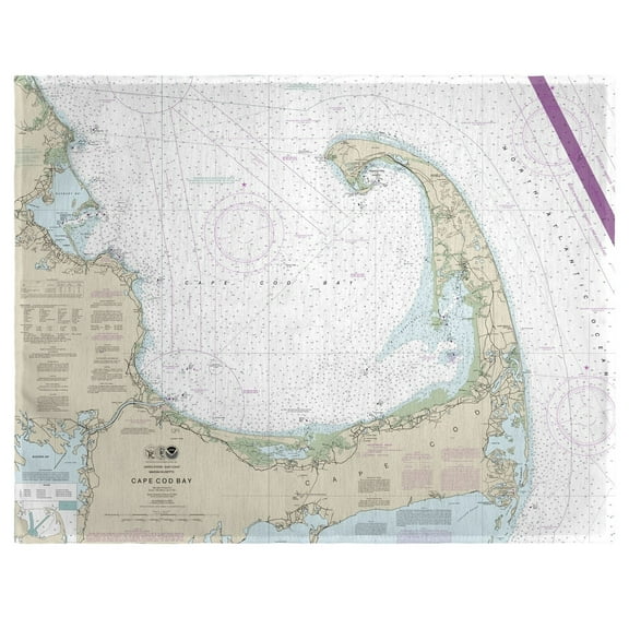 Betsy Drake Interiors Cape Cod Bay, MA Nautical Map Place Mat Set of 4