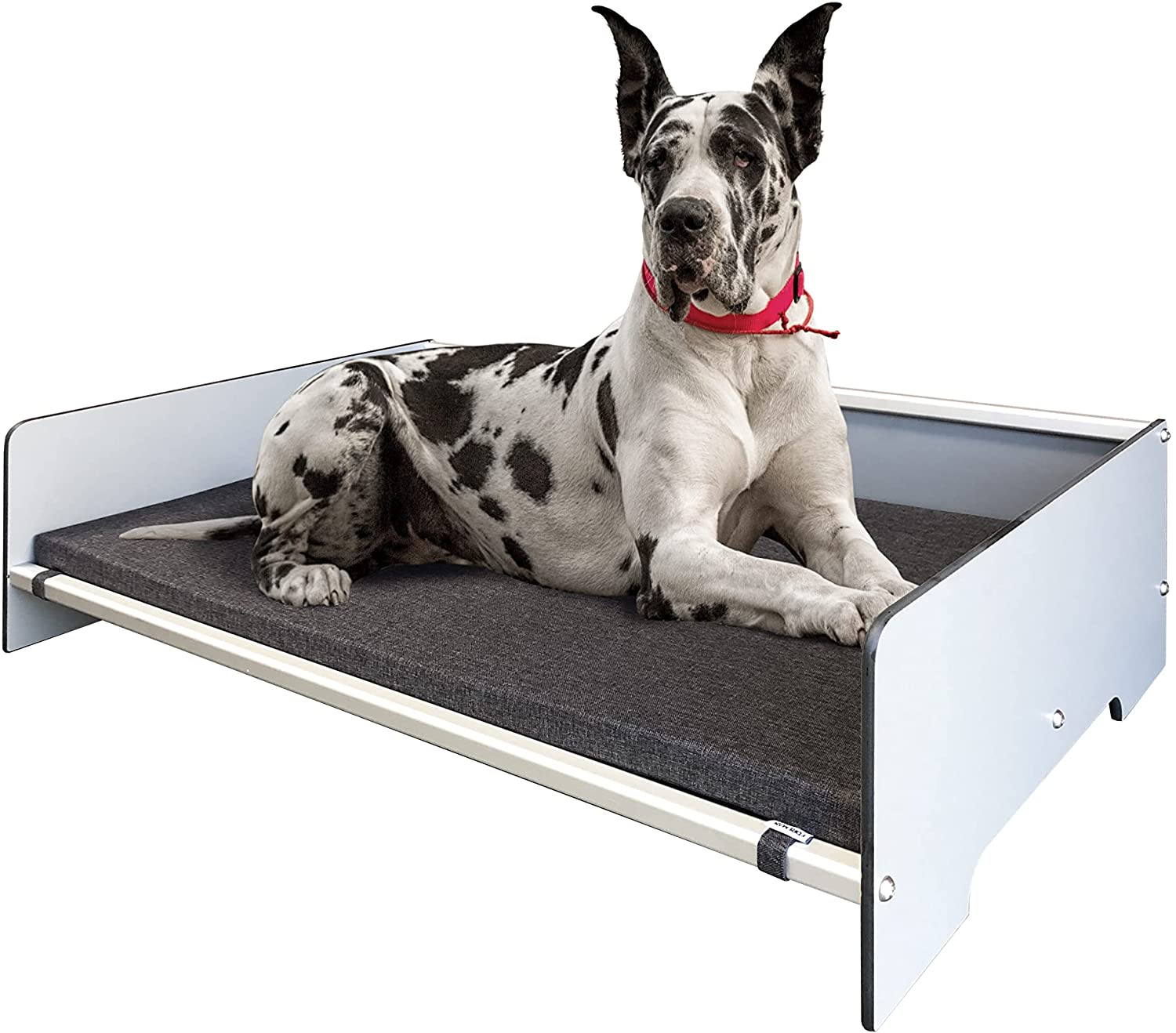 Foreman Waterproof Contemporary Comfort Dog Bed with Backrest Pet Bed