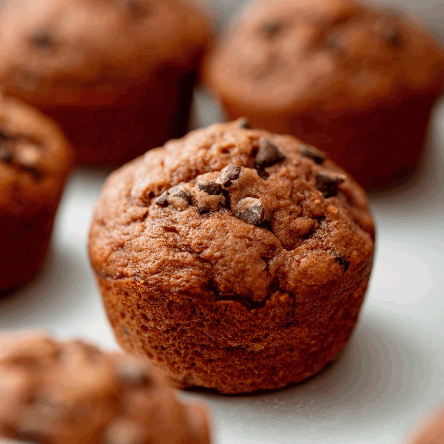 (6 pack) Lehi Mills Chocolate Chocolate Muffin Mix 18 oz Box - Premium Baking Mix