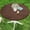 Brown, variant on Spandex Elastic Fitted Round Tablecloth for 57"-68" Tables, Stretch Washable Reusable Table Cover for Outdoor Picnic, Camping, Dining, Kitchen, Patio and Party, Weave