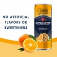 thumbnail image 6 of San Pellegrino Italian Sparkling Drink Aranciata (Pack of 18), 6 of 9