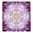 thumbnail image 3 of Ambesonne Flower Shower Curtain, Fresh Spring Gardening, 69"Wx75"L, Violet and Pale Lilac, 3 of 3