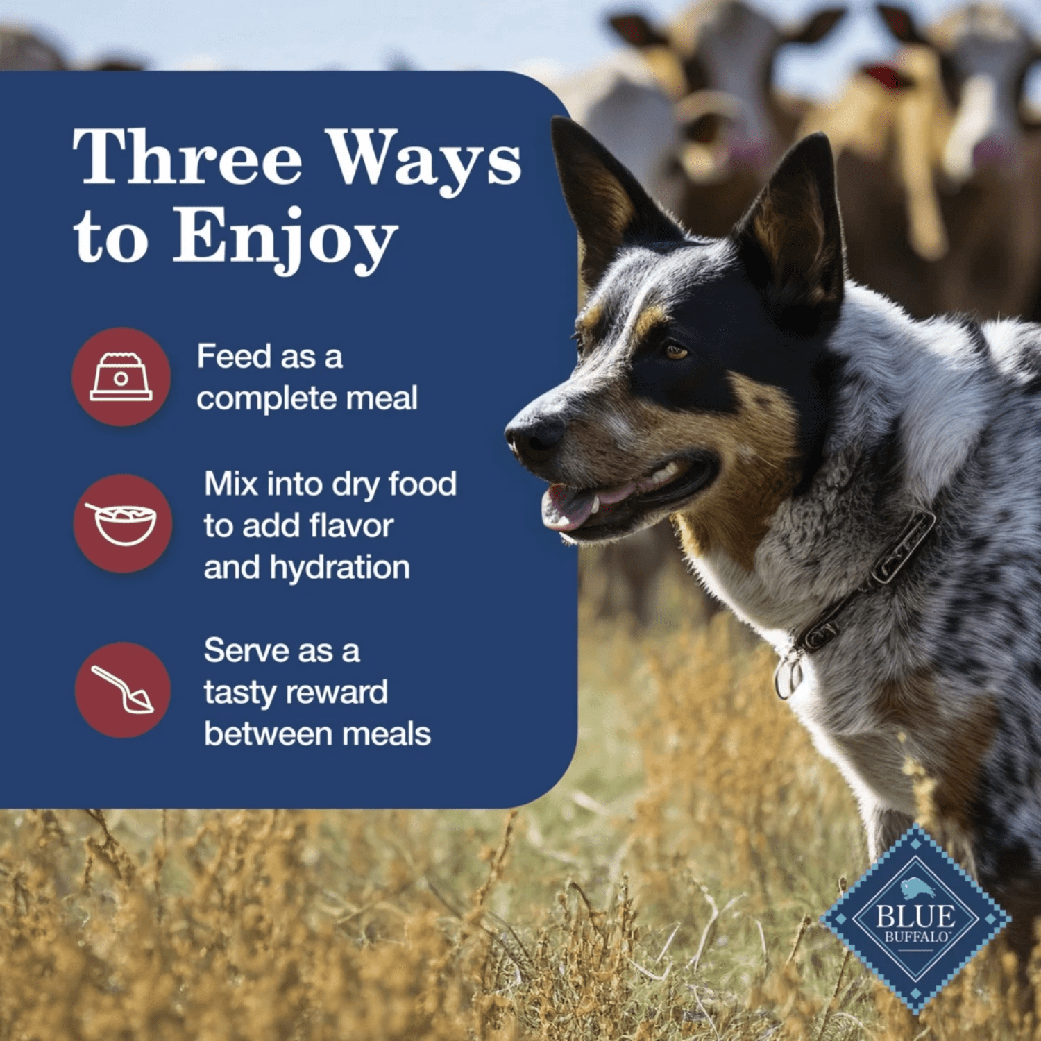 Blue Buffalo Homestyle Recipe Adult Wet Dog Food, Chicken and Beef Dinner Variety Pack, BLUE HR Chicken & Beef Variety Pack