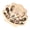 Wooden, variant on Sustainable Wooden Seashells Keepsakes Box With Natural Texture 2 Purpose Jewelry Organizers And Decorative Display Piece