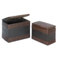 thumbnail image 2 of Nesting Storage Trunk Duo, 2 of 2