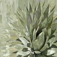 thumbnail image 3 of Benson, Lindsay 20x20 Black Modern Framed Museum Art Print Titled - Succulent Verde I, 3 of 5