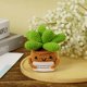 thumbnail image 4 of Plantas en macetas de ganchillo, plantas en macetas de punto creativas, mini suculentas lindas y positivas emocionalmente, adornos de muñecas de papa de vida positiva, regalos para adultos, niños, ami, 4 of 5