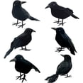 thumbnail image 2 of Halloween Decoration, 6 Pack Realistic Black Crow Figurines, Plastic Feathered Crow Desktop Ornaments for Halloween Spooky Party Decor Gifts, 2 of 7