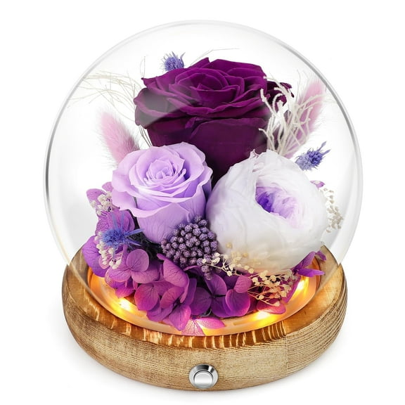 MixMart Preserved Roses,Long-Lasting Real Flowers,Glass Dome Flower,Unique Floral Gift for Girlfriend Wife Present Anniversary&Mother's Day Present Christmas Thanksgiving Wedding House Warming purple