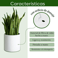 thumbnail image 3 of Maceta Elly Cilindro de Fibra de Vidrio Color Blanco, 3 of 7