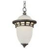 Trans Globe Lighting Stephano 5113 AP Outdoor Hanging Lantern