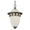 One Light Frosted Glass Antique Pewter Outdoor Pendant