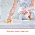 thumbnail image 6 of AGM Daily Granite Cleaner with Sealer, 6 of 6