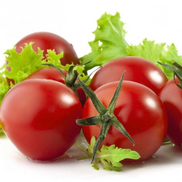 Sweet Cherry Tomato 2" x 3" Pot Sweet/Intense Flavor