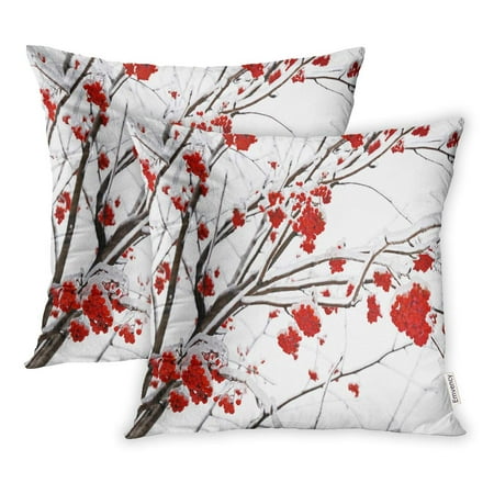 YWOTA Colorful Winter Branches of Mountain Ash in Ice Red Snow Pillow Cases Cushion Cover 16x16