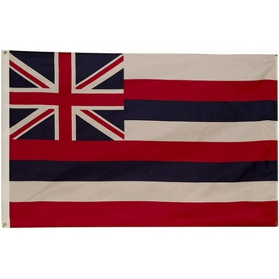 3x5' POLYWAVEZ HAWAII POLY II FLAG CH&G