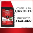 Eliminator Total Vegetation Killer II, Herbicide Concentrate, 14 oz