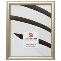 Craig Frames Stratton, 14x18 inch Picture Frame, Distressed Silver