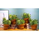 thumbnail image 2 of Juguete de Peluche de Cactus, muñeco de Almohada de Peluche con Maceta de 37 cm, cojín Suave y esponjoso para Abrazar a un Amigo de Las Plantas, Regalo para Todas Las Ocasiones de Edad Sincero Electrónica, 2 of 4