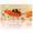 Bee on Poppy Flower, variant on 1 Pcs 2D Flat License Plate Covers & Frames, Flying Horse For Decorative Front, Waterproof For Decoration Aluminum License Plate Covers & Frames Cover For Men Women, 12" X 6"