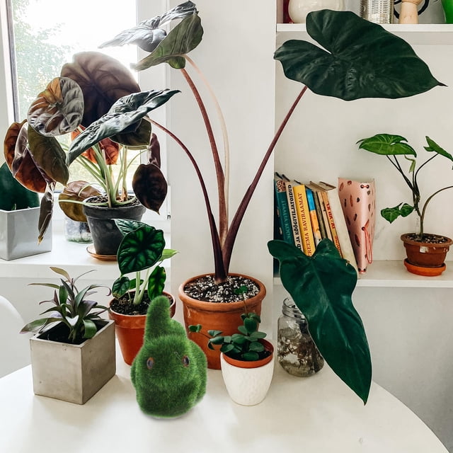 IDEANATEGRATE 2Ud Decorativos De Imitación Con Musgo Verde Para Adorno De Muebles