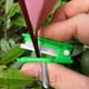 thumbnail image 5 of Cuchillo de recolección con protector de hoja para cosechar tomates, pepinos, fresas y uvas. Herramienta de poda para usar con una sola mano. Incluye protector de plástico para dedos., 5 of 8