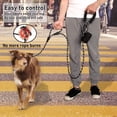 thumbnail image 3 of Cuerda Plutus para mascotas Dog Leash de 1,8 m de largo con doble asa reflectante, 3 of 6
