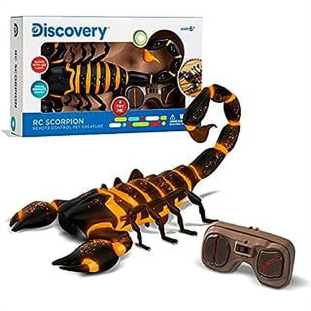 Discovery Kids RC Scorpion Glow In The Dark Body Wireless Remote Control Toy for Kids Great for Pranks and Halloween Decorations Realistic
