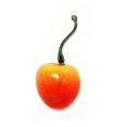 thumbnail image 3 of ALEKO Decorative Realistic Artificial Fruits Package of 20 Yellow Cherries, 3 of 3