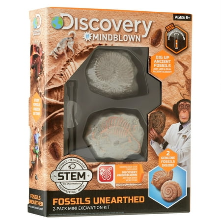 UPC: 0843479138207 | Discovery™ #Mindblown Fossil Excavation Kit