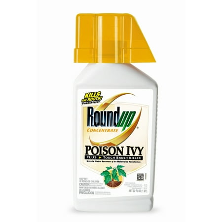 Roundup Concentrate Poison Ivy Plus Tough Brush Killer (32 oz. (Best Poison Ivy Killer)