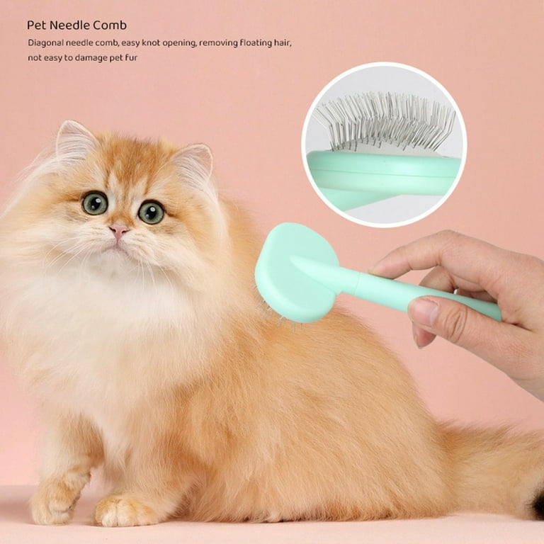 Persian cat grooming kit hotsell